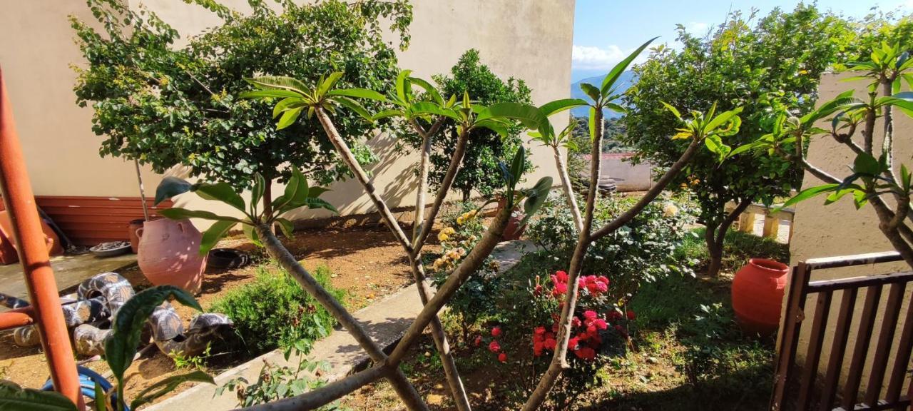 Village House With A Nice Garden Sternai Ngoại thất bức ảnh